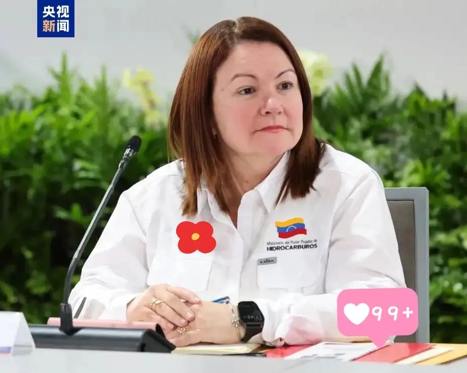 当地时间11日，委内瑞拉代总统德尔西·罗德里格斯宣布，任命保拉·赫纳奥为新任石油