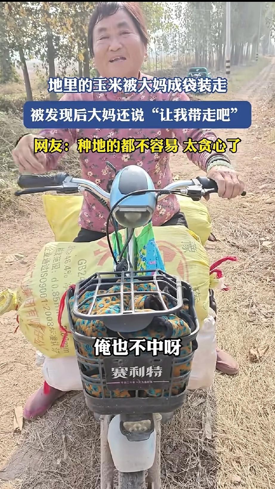 地里的玉米被大妈成袋装走，被主家发现后怒斥大妈，大妈并没有放下电动车上的玉米，还