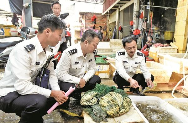 牛蛙产品抗生素超标排查启动，筑牢舌尖安全防线
 
近日，多地市场监管部门通报牛蛙