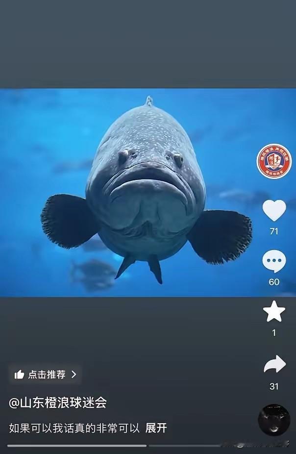 泰山队大鱼之歌
 

李霄鹏当年一声喊 大鱼传说传了又传
球迷等的望眼欲穿 冬窗