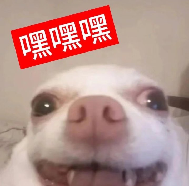 不管了，闺蜜我要剪高层次短发 