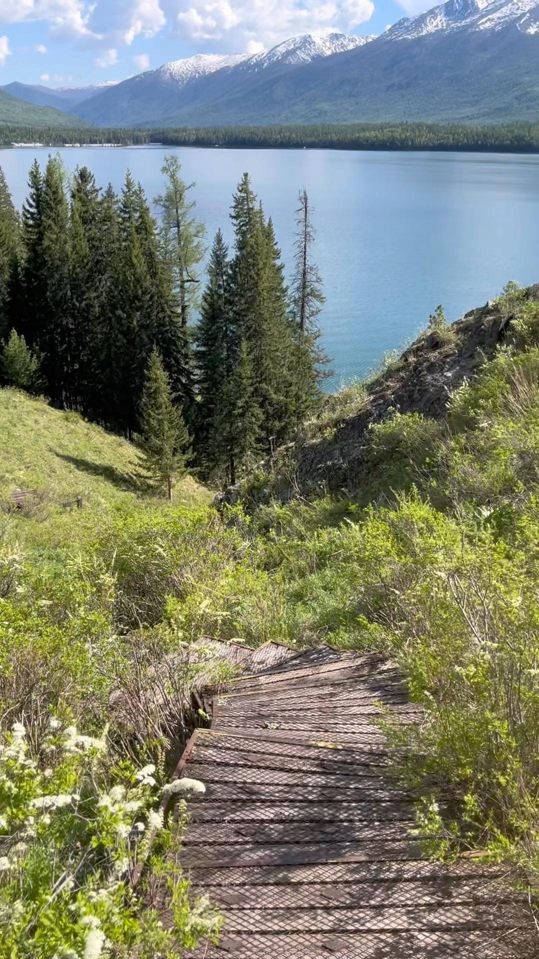 人能够管好动物性，不恋爱脑 那人生基本很难踩大雷  孤独是人生的常态 ...