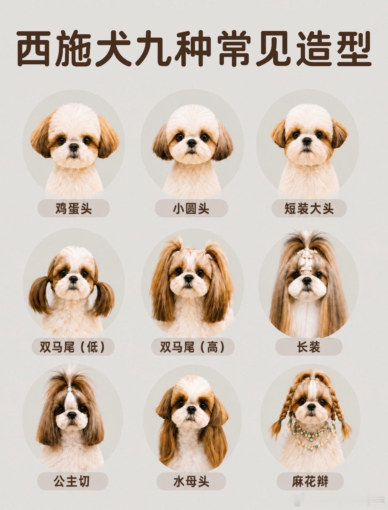 檀小呆其实…哈哈哈哈哈哈  没想到曾经的杏鲍菇妆造是流行妆造呢🤣 