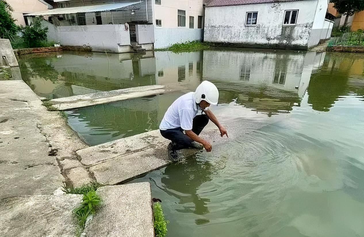 这是一条充满正能量的社会新闻，核心信息如下：

事件： 南京高淳区，一名七旬老人