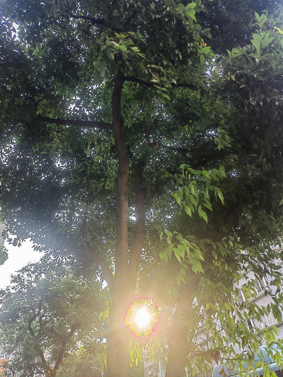 想用我一如既往的晴天去交换你们一个强烈的雨天只是强雷暴的极端威慑力之下我和上海的