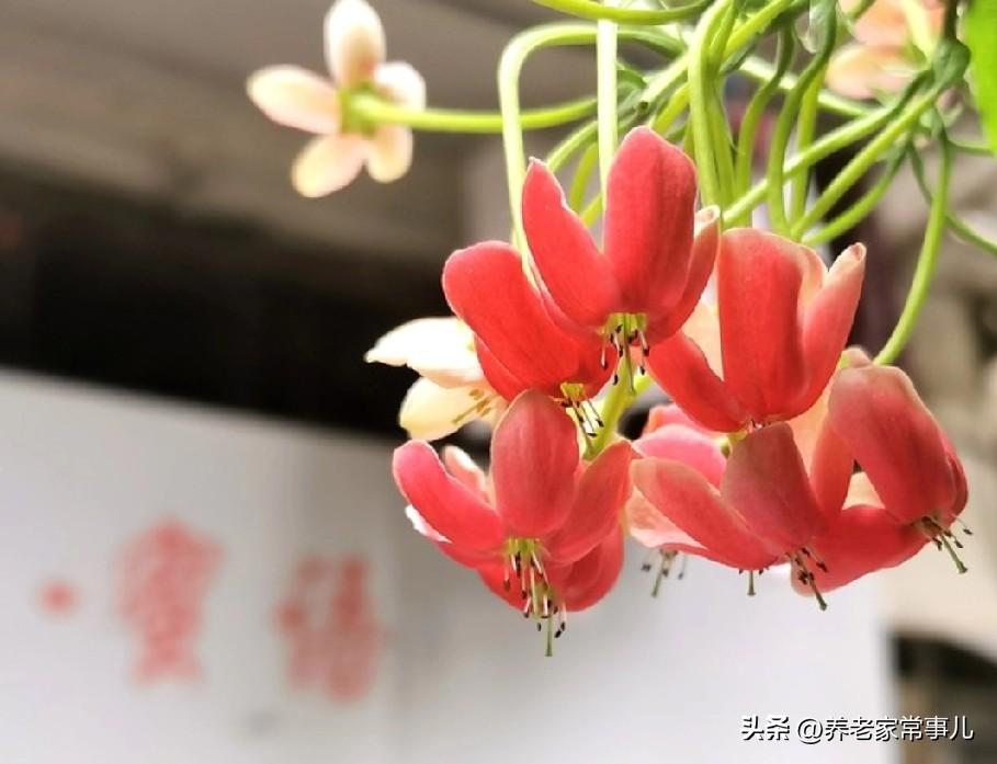 我的今日状态：😁轻松愉快
我这里的天气：☀️晴天人到老年，不一定漂亮，
但一定