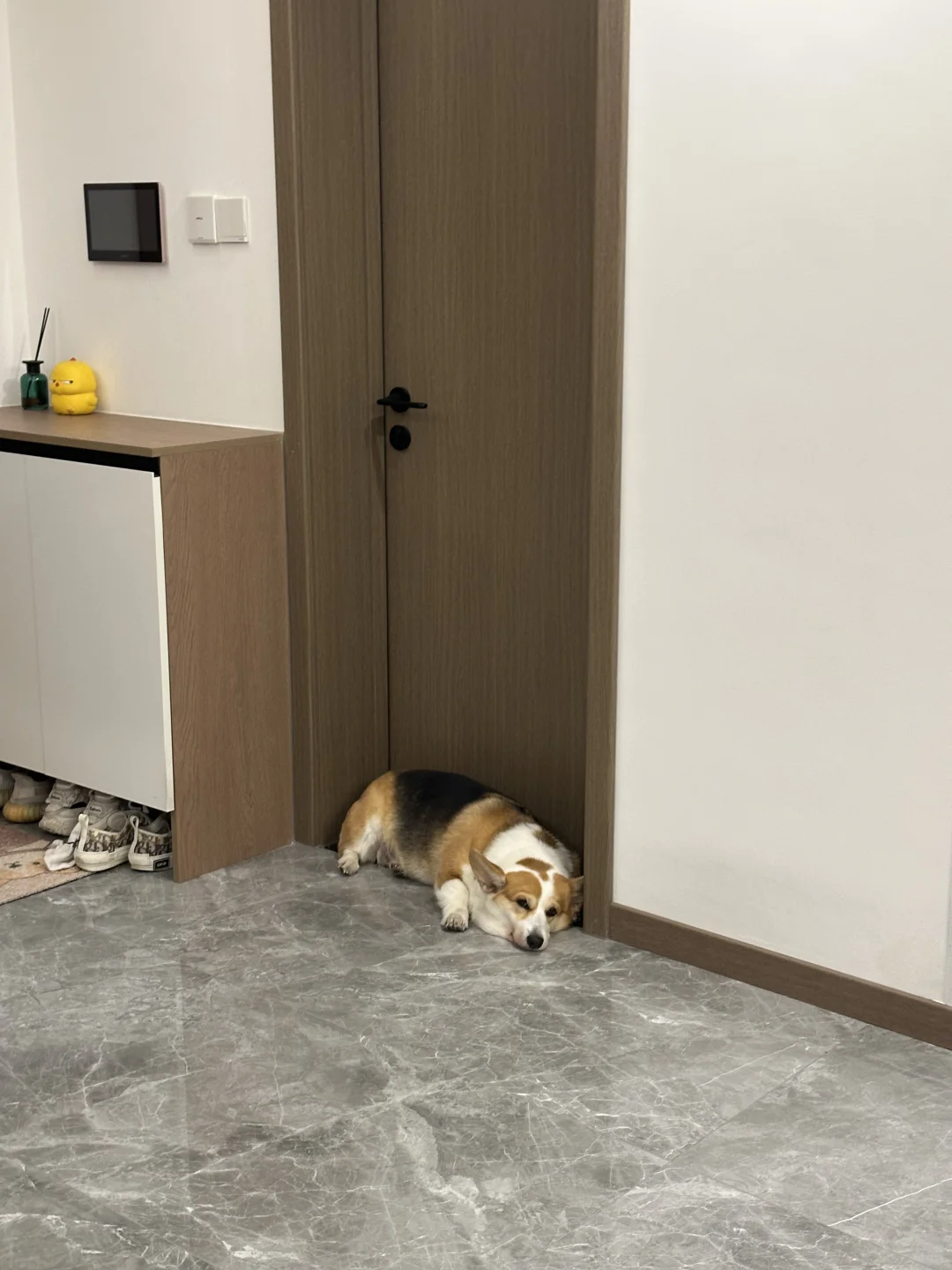 每辆卡车都有它的专属停车位