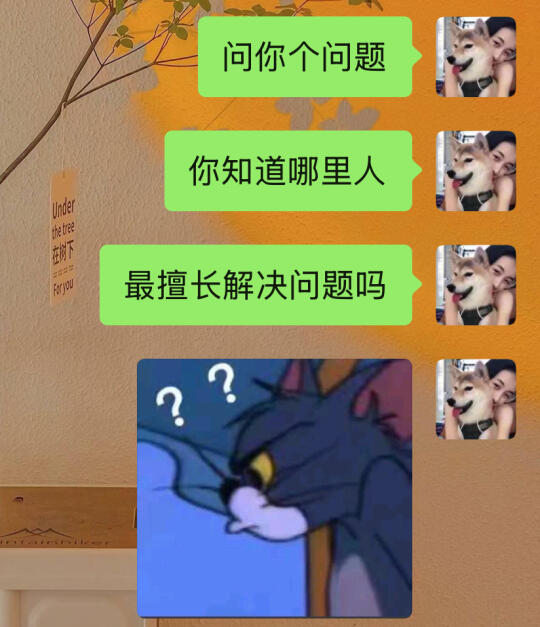 这个贱我必须犯