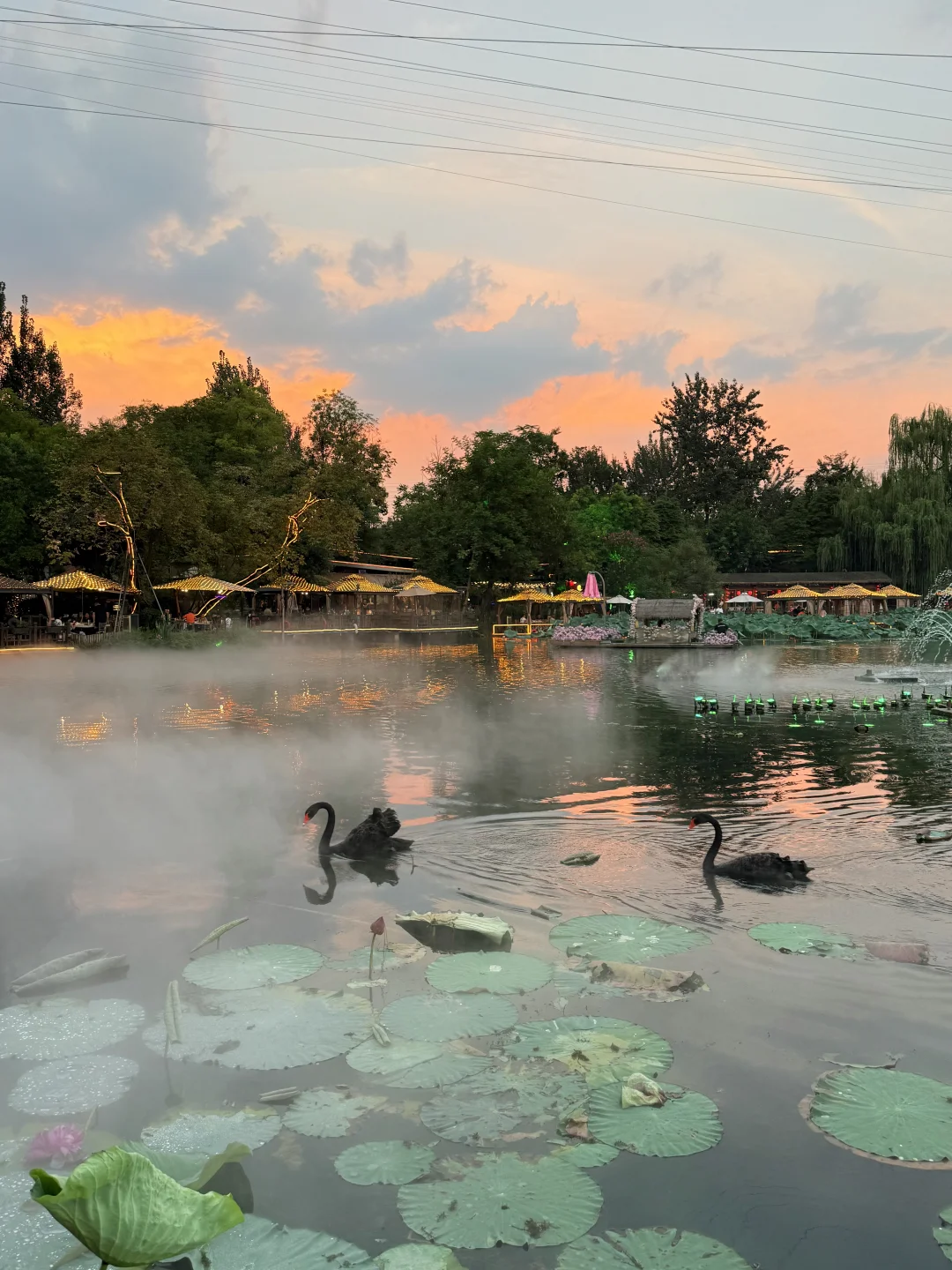 第一次来成都！建议留一天时间给这里……