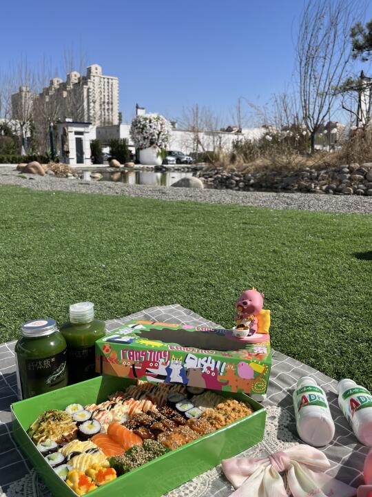 北京野餐🧺Time 巨好看的寿司🍣