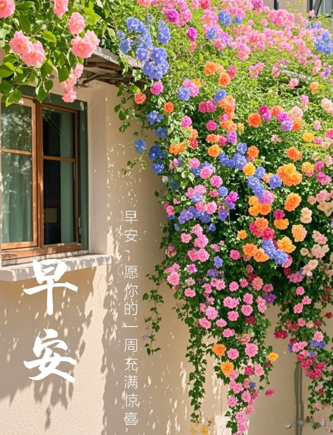 周一开工

今天是2025年12月8日，农历十月十九，周一。

周一的晨光如约洒