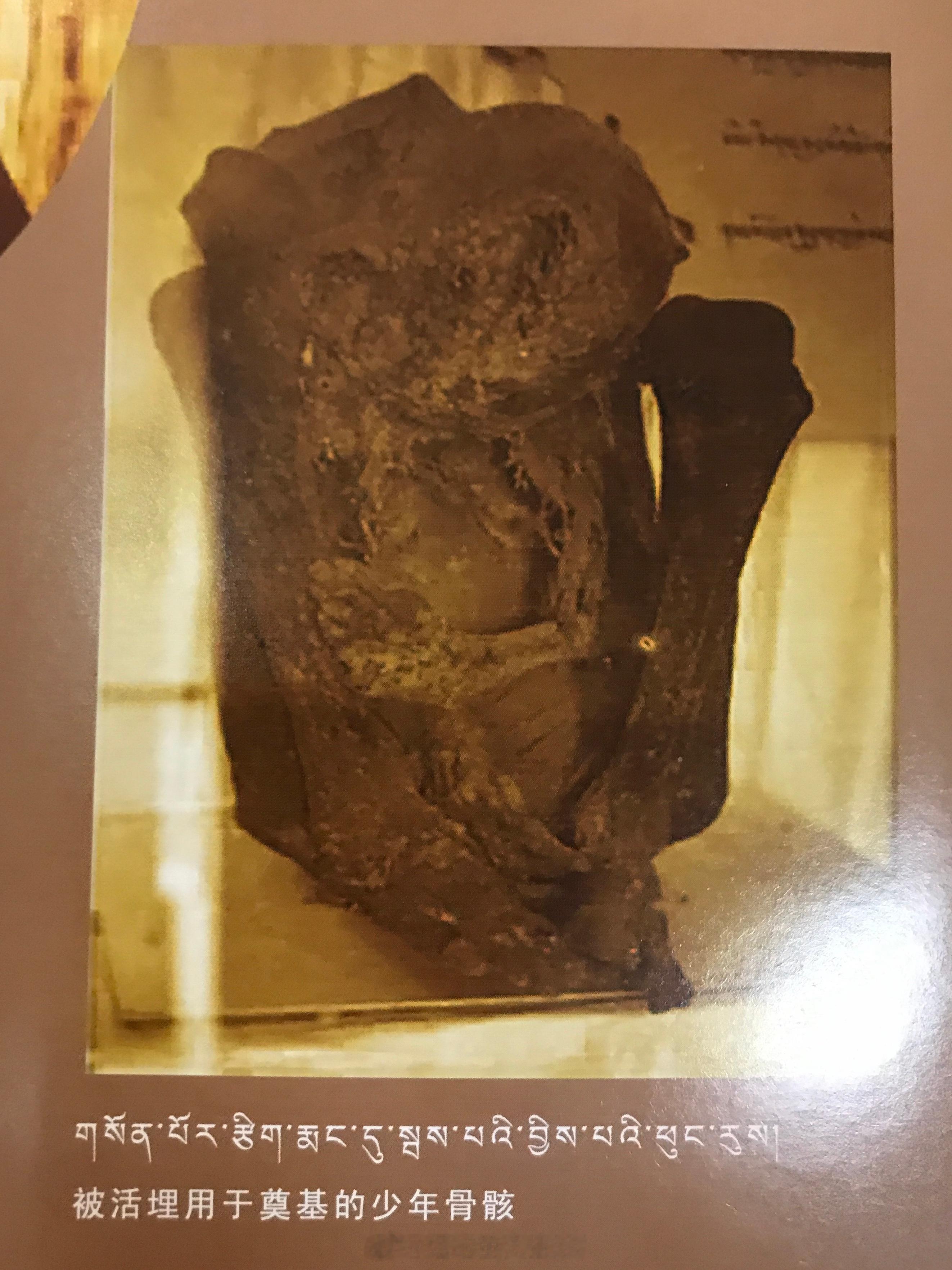 历史上的今天 1959年7月17日，西藏自治区筹备委员会决定进行民主改革。此时的