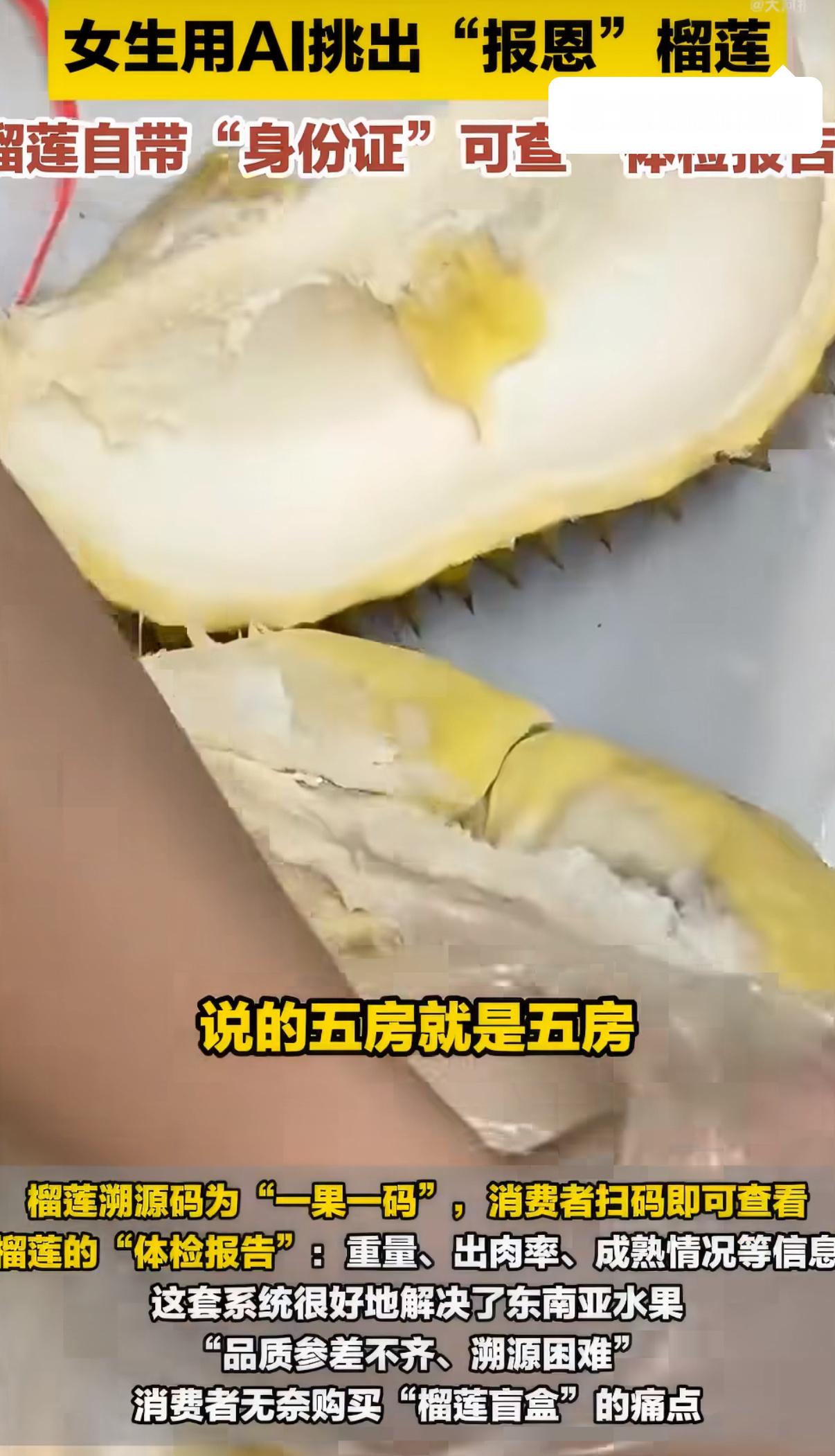 榴莲溯源码女生用AI挑出报恩榴莲再也不用凭经验盲挑榴莲！AI检测加一物一溯源码，