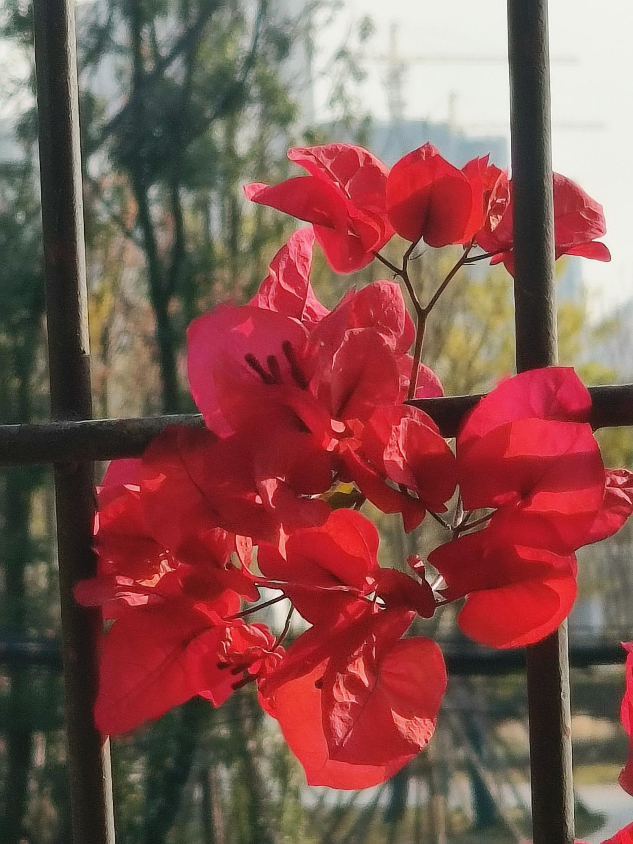 我新发布的内容被官方推荐啦！👍你也快来发布一条吧！带