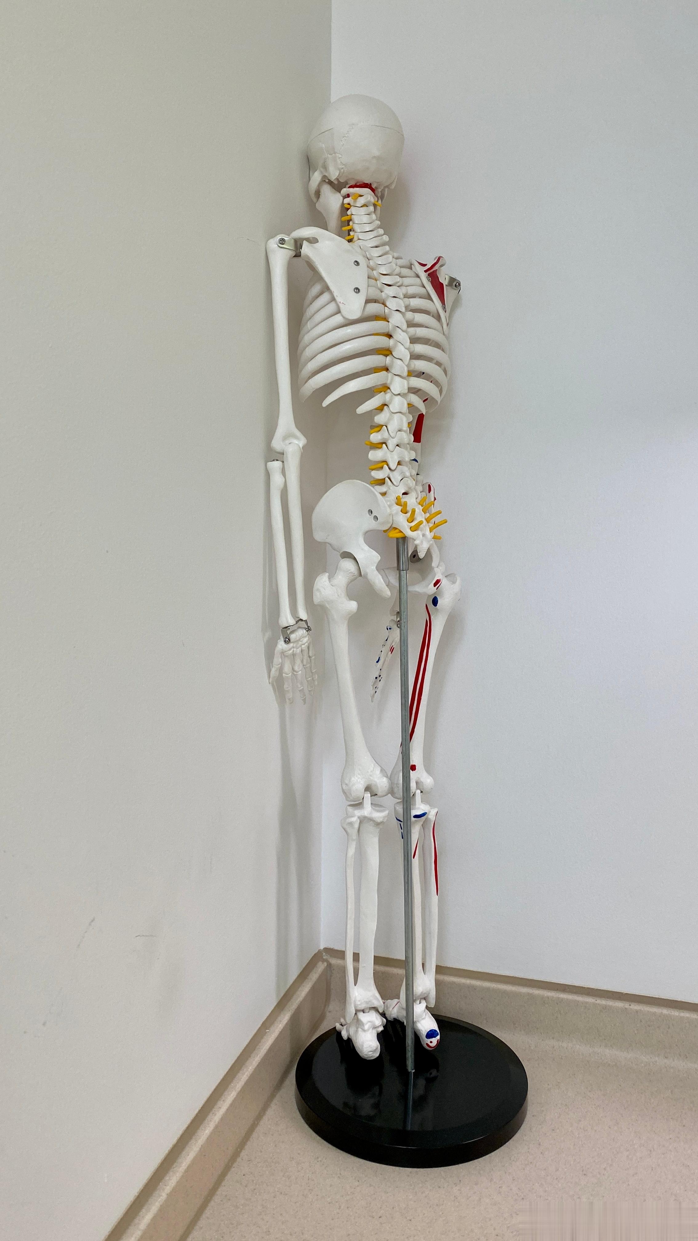 今天诊室不够，借用的骨科医生诊室。这位面壁思过的同学承包了我多半天的欢乐[笑cr