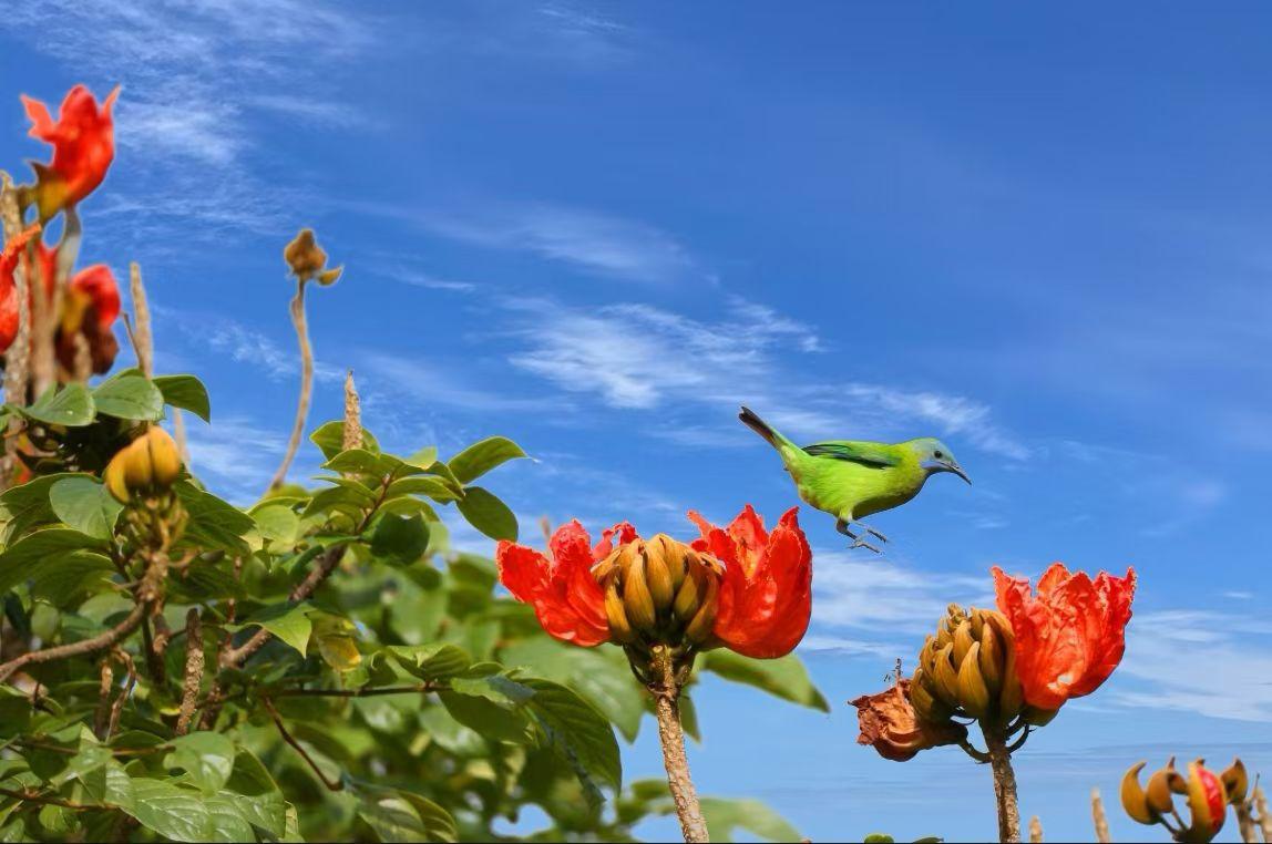 家人的惦念才是最真切的爱！
今天好友相约，晚上小聚。
入座后，好友说，我今天喝点