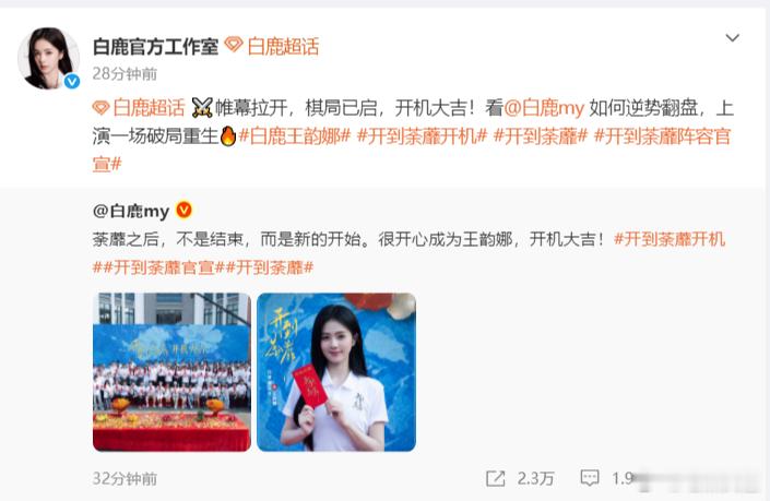 白鹿迎来王韵娜的全新人生《以爱为营》的口碑风波让观众更加理性，期待白鹿借王韵娜开