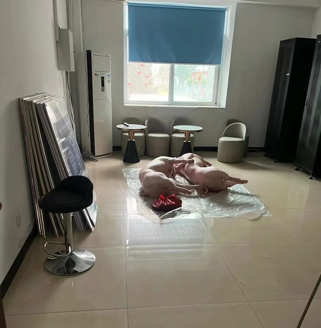 猪肉这么摆有点不忍心吃了[泪奔]