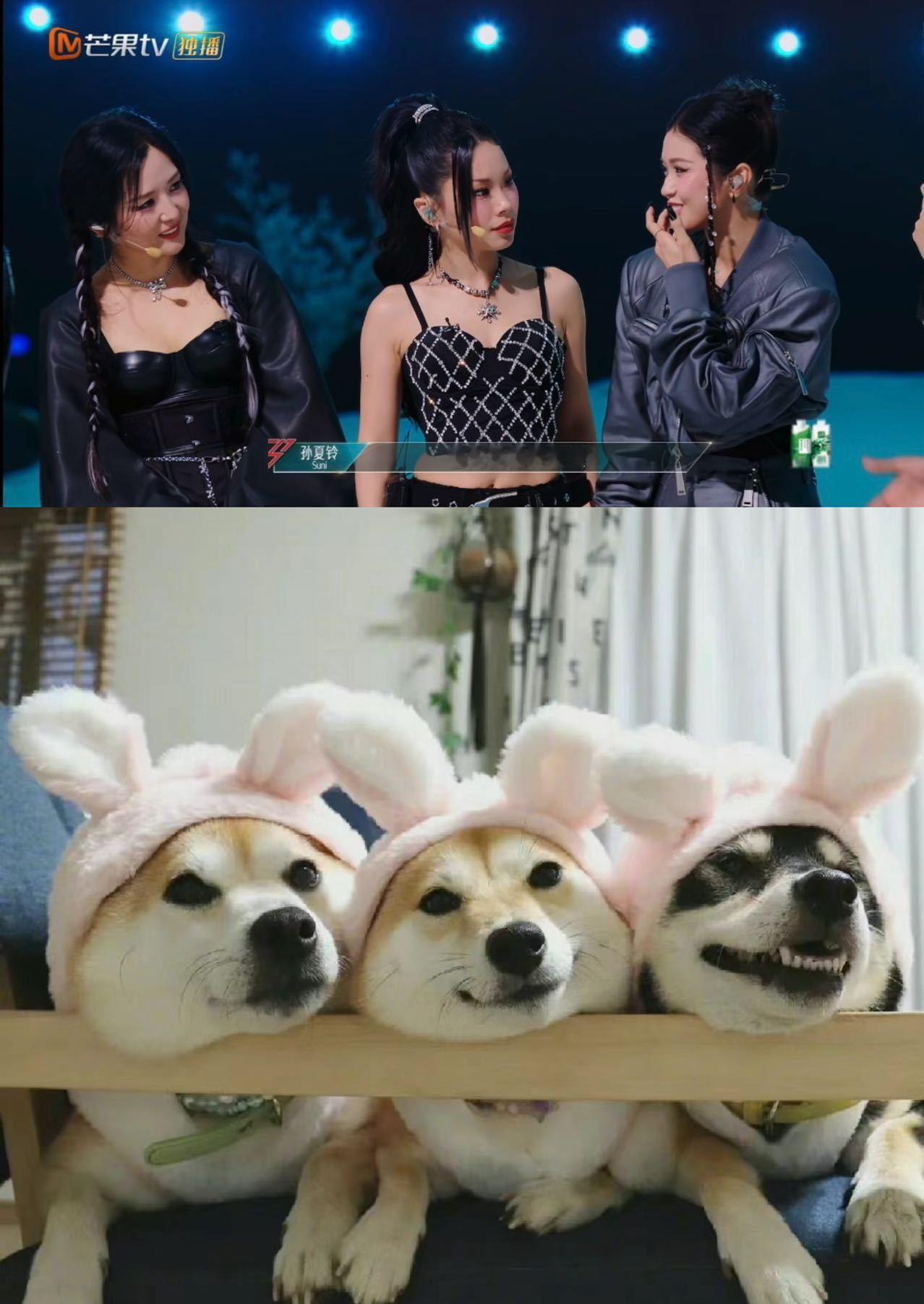 #何洁孙夏铃万妮达撞脸柴犬# 《六边形雪花》的舞台精彩纷呈，但三位姐姐何洁、孙夏