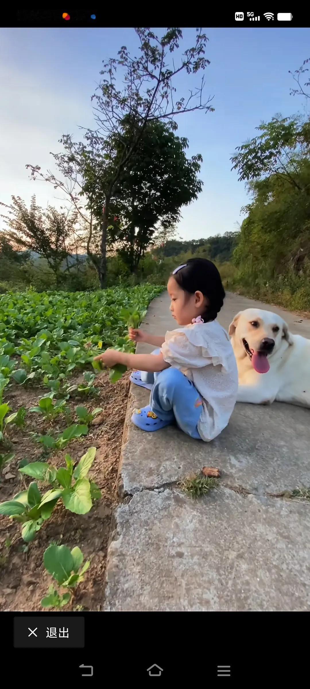 童年的快乐，无忧无虑，童年时光真的很美好！#乡村童年。# #平平淡淡的童年# #