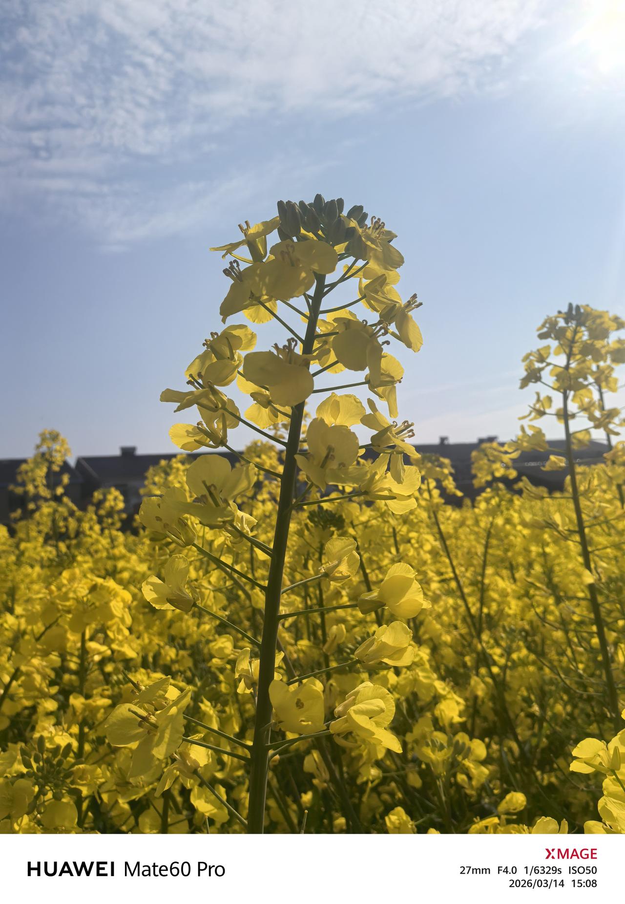 车子是自己买的，属于私人财产，油是自己加的，车子是自己开的，养路费已经加到油价里