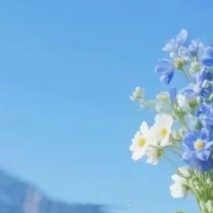 早安心语 愿今天的你，如晨光般清澈，如朝露般充满希望。在奔赴热爱的路上，每一步都