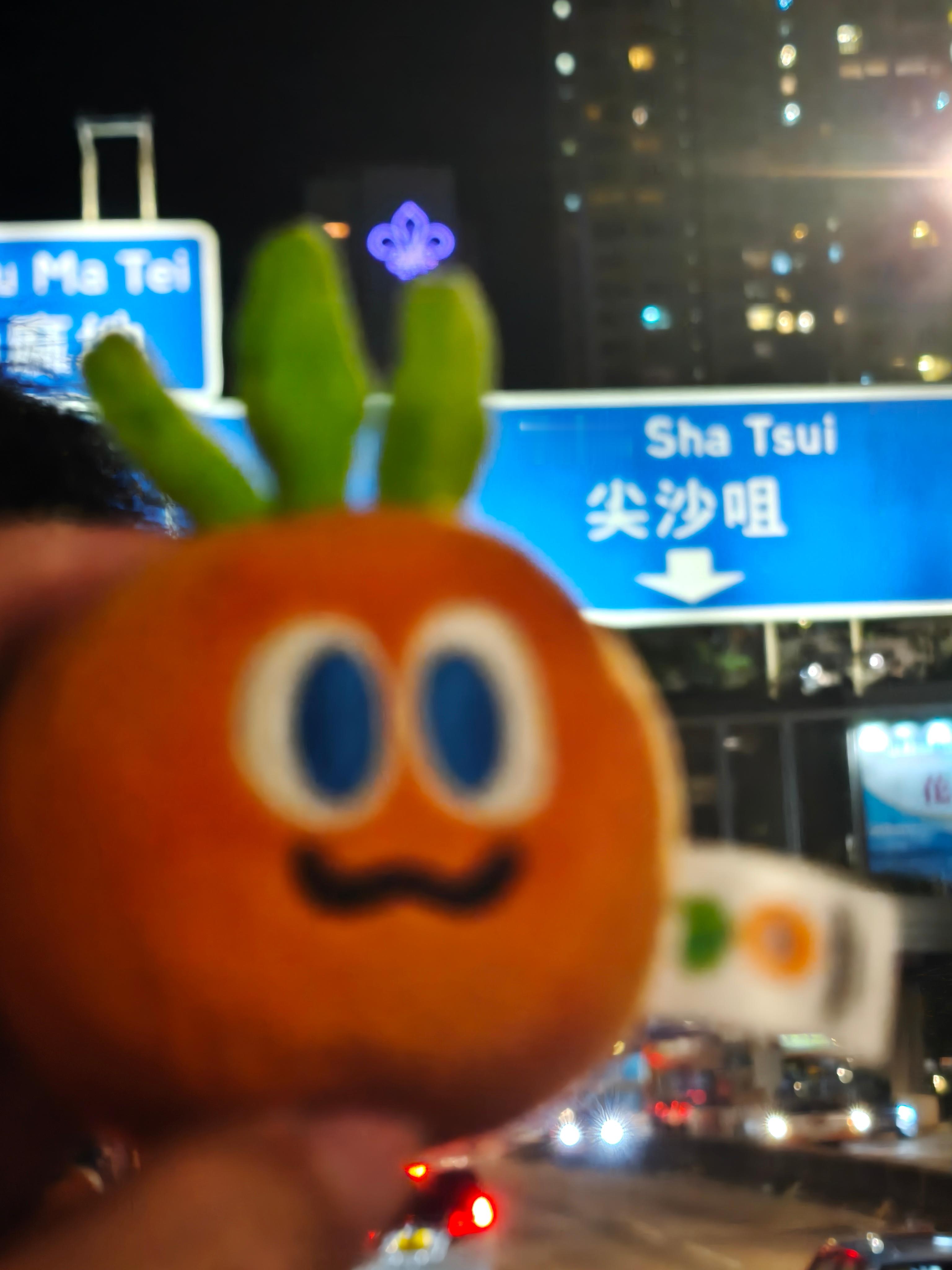带着卜卜打卡尖沙咀[二哈]真正像五月天《笑忘歌》里的歌词写的那样，从回民街再飞到
