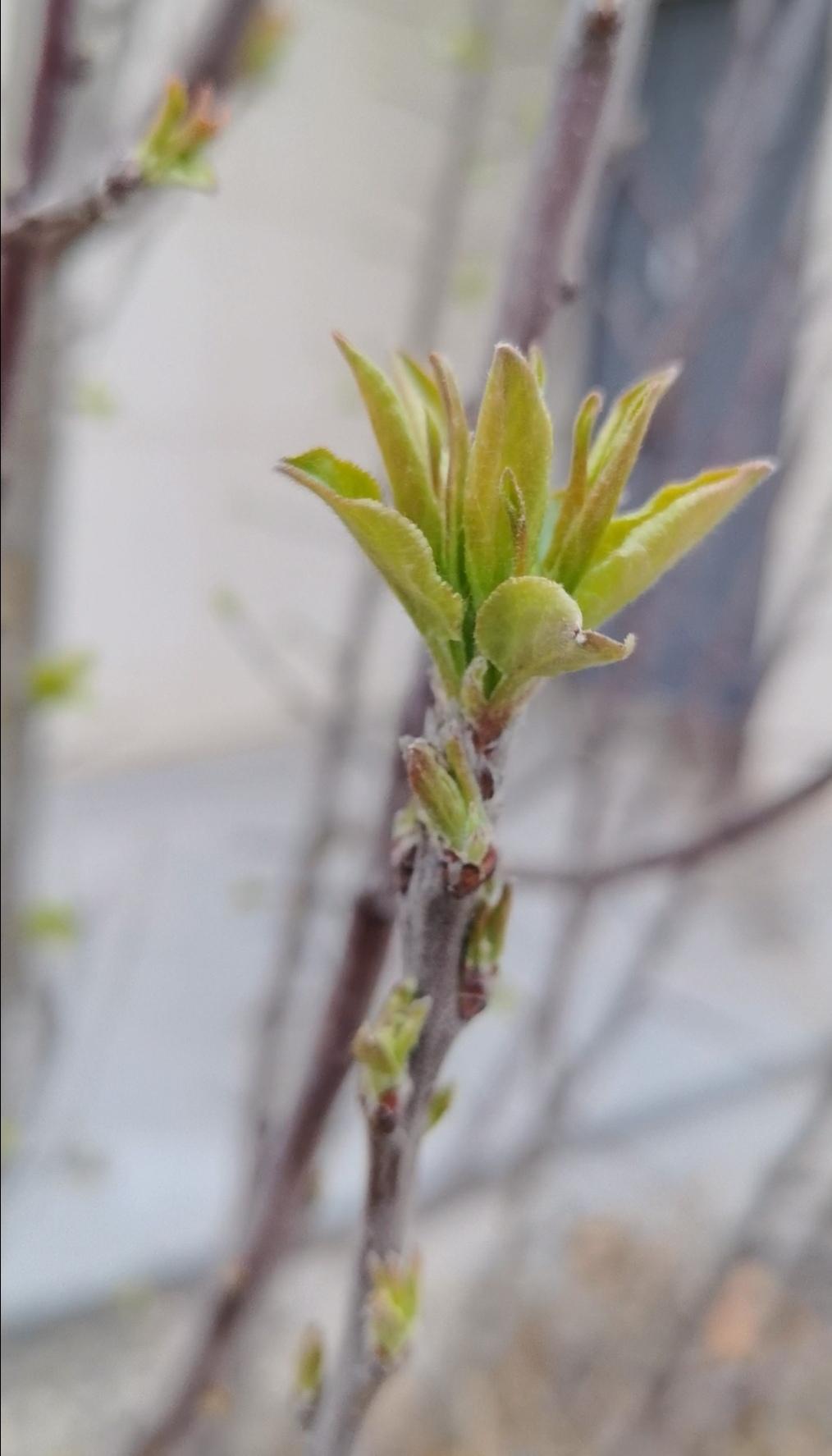 特么感觉吃了上顿没下顿的感觉，挖空心思写一篇头条，觉得不满意，发配到冷宫。
仿佛