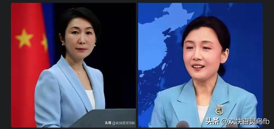 毛宁:大气而高冷。
张晗:典雅而亲和。
两大美女虽风格各异但同显东方之美，大国风