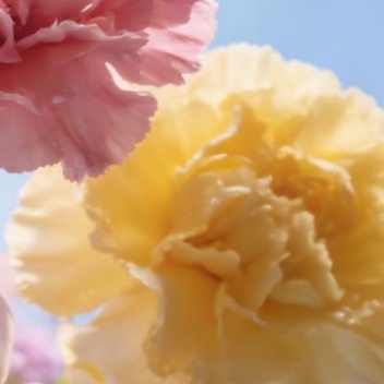 正能量生活的完整性不是天生就有的，它来自反复的调整和修复。今天这个部分需要加固，