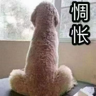 emm 