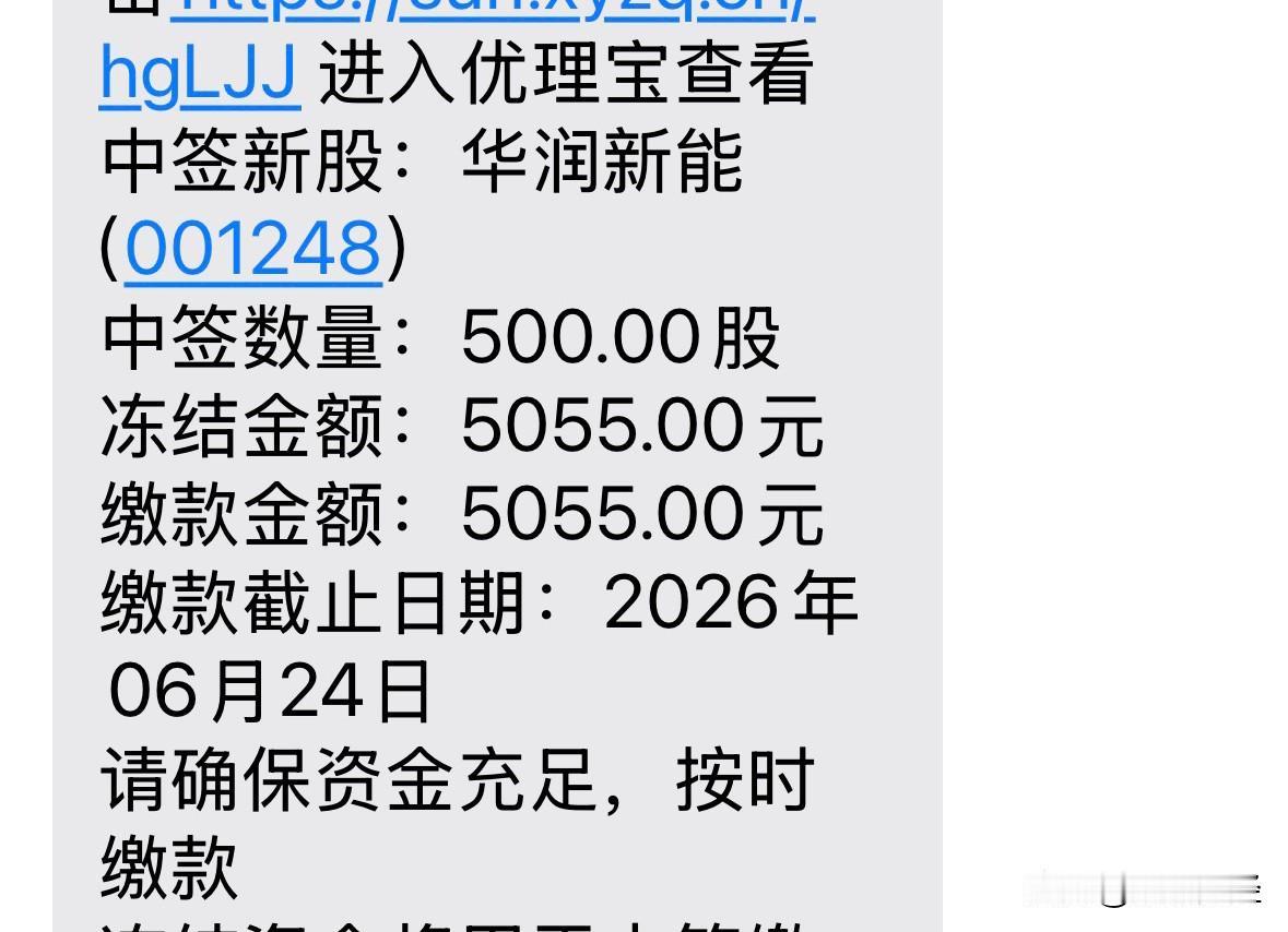融资深市最大规模，华润新能源中一签，需缴费5055元，预计能翻倍否？