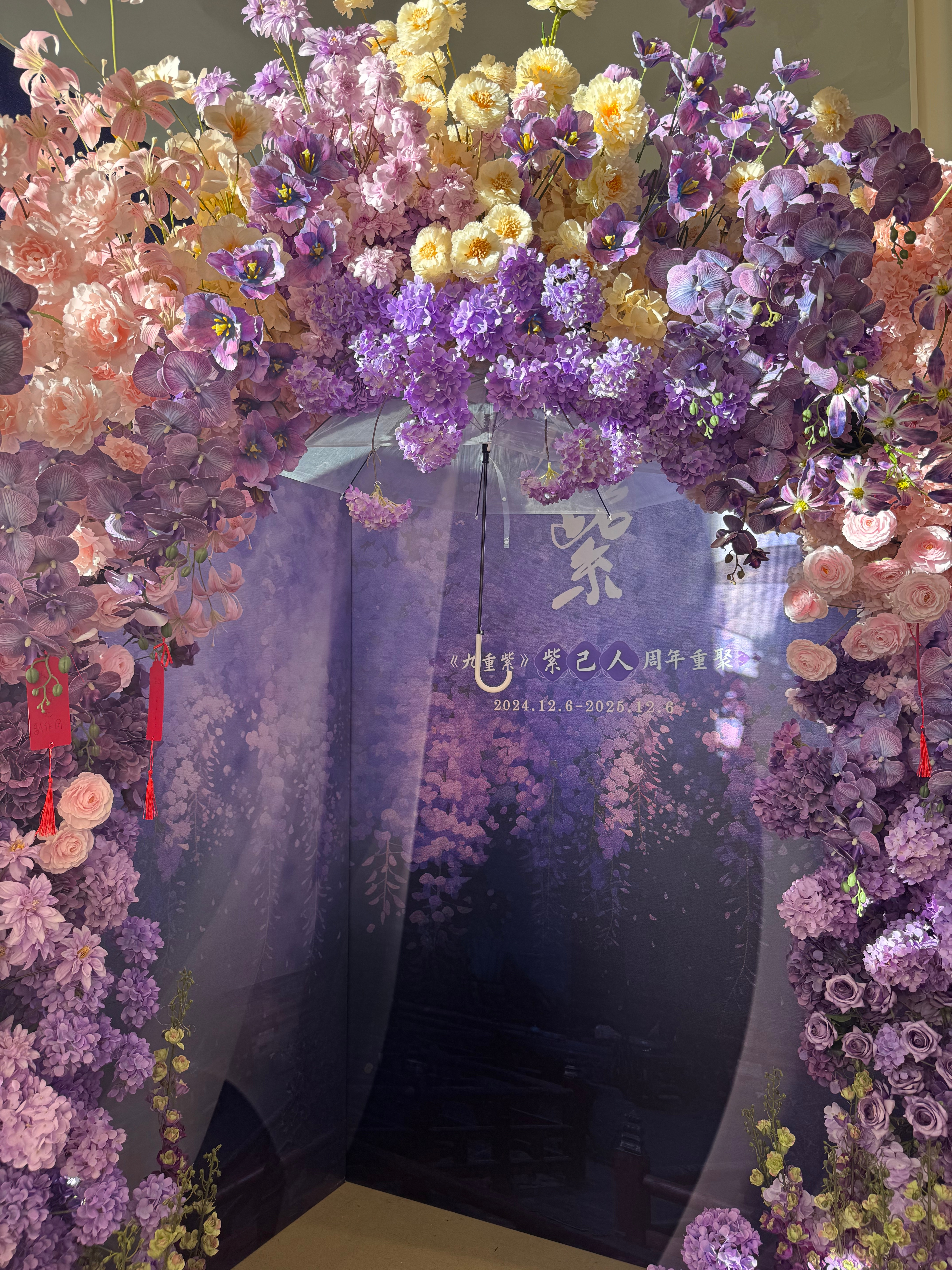 九重紫开播一周年天啊我们九重紫一周年售后我真的哭死 首次公布的官方影视设定集 还