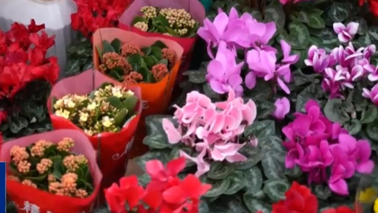 元旦将至，城市被迎新的氛围与盎然生机包裹。公园内的景观大道被红黄相间的花艺造型装