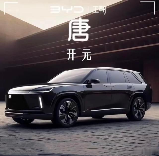啊？比亚迪唐？ ​​​