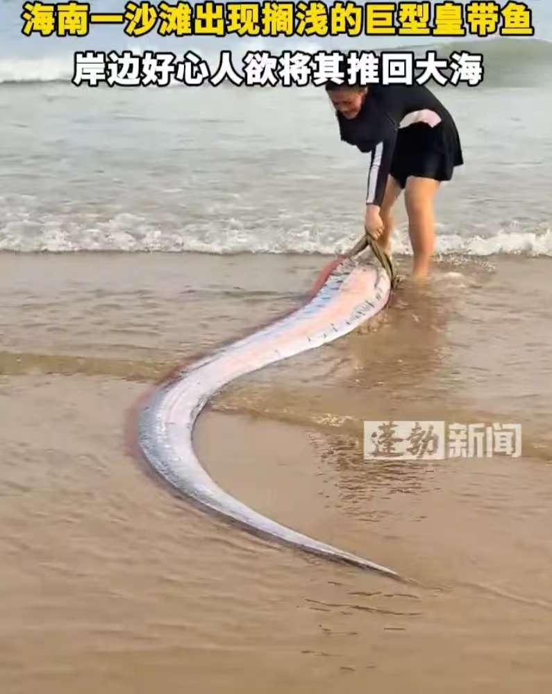 海南，女子在海边游玩时，突然发现有个东西被海水冲了上来，上前一看竟然是一条巨型海