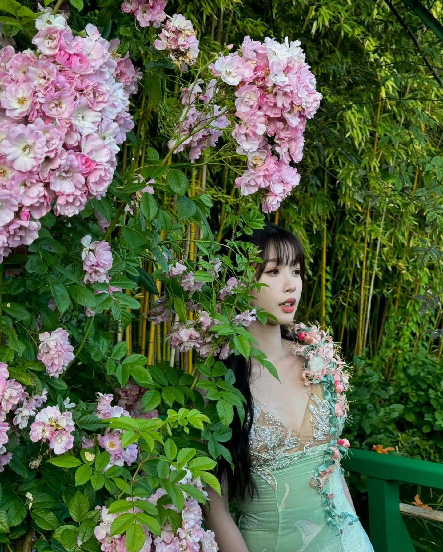 虞书欣 2024.8.14ins花仙子~🌻 