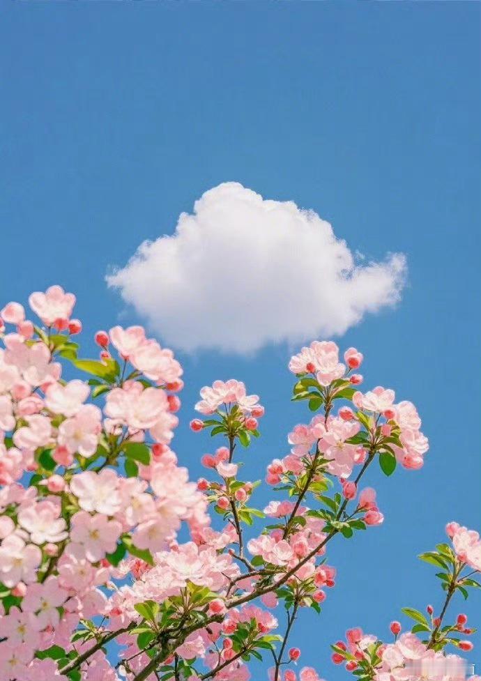 接李琰事业运奥运冠军的教练 都有一个共同点那就是面善 