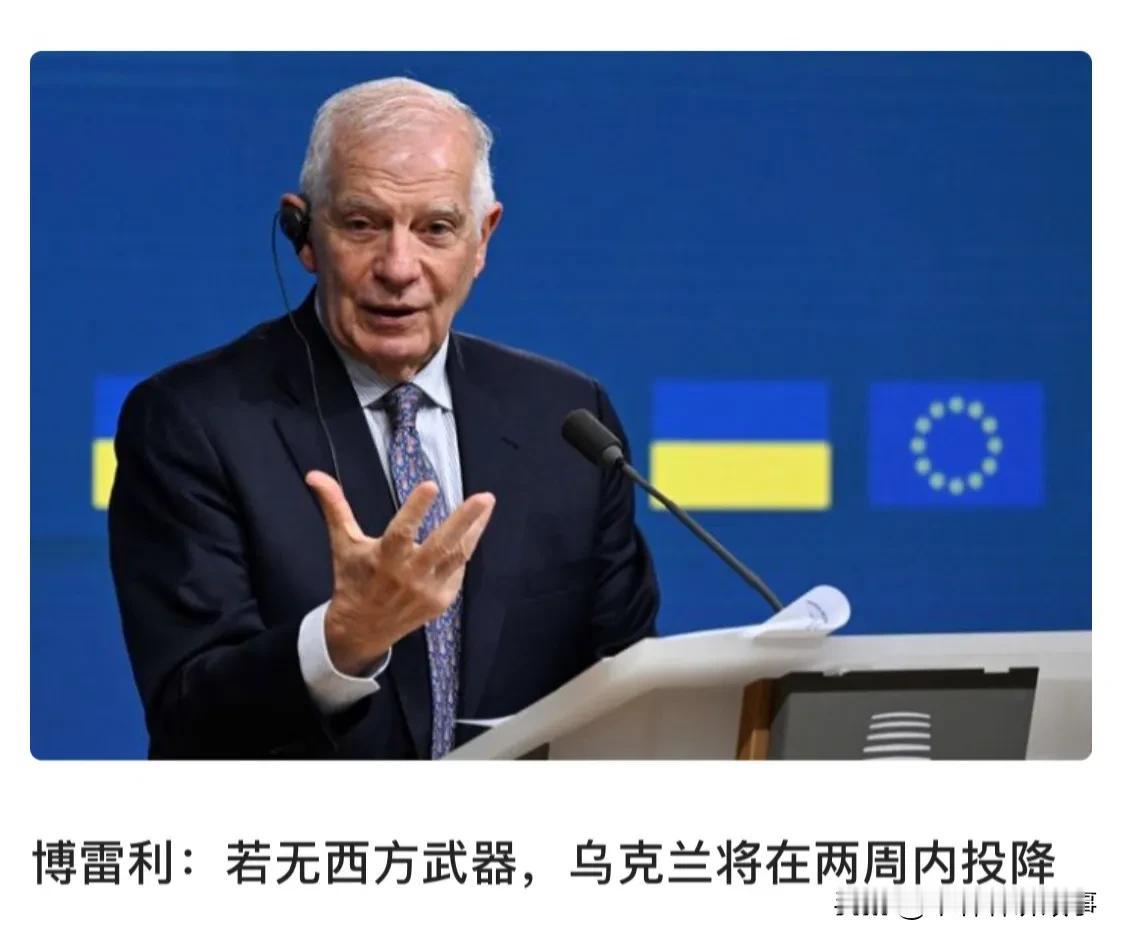 博雷利：没有西方武器，乌克兰将两周内投降

“我知道如何停止战争。停止供应武器就