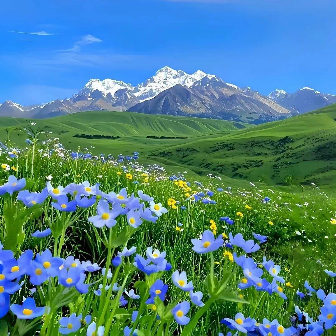 wechat｜朋友圈背景图 人在知足的时候最富有 也在珍惜 