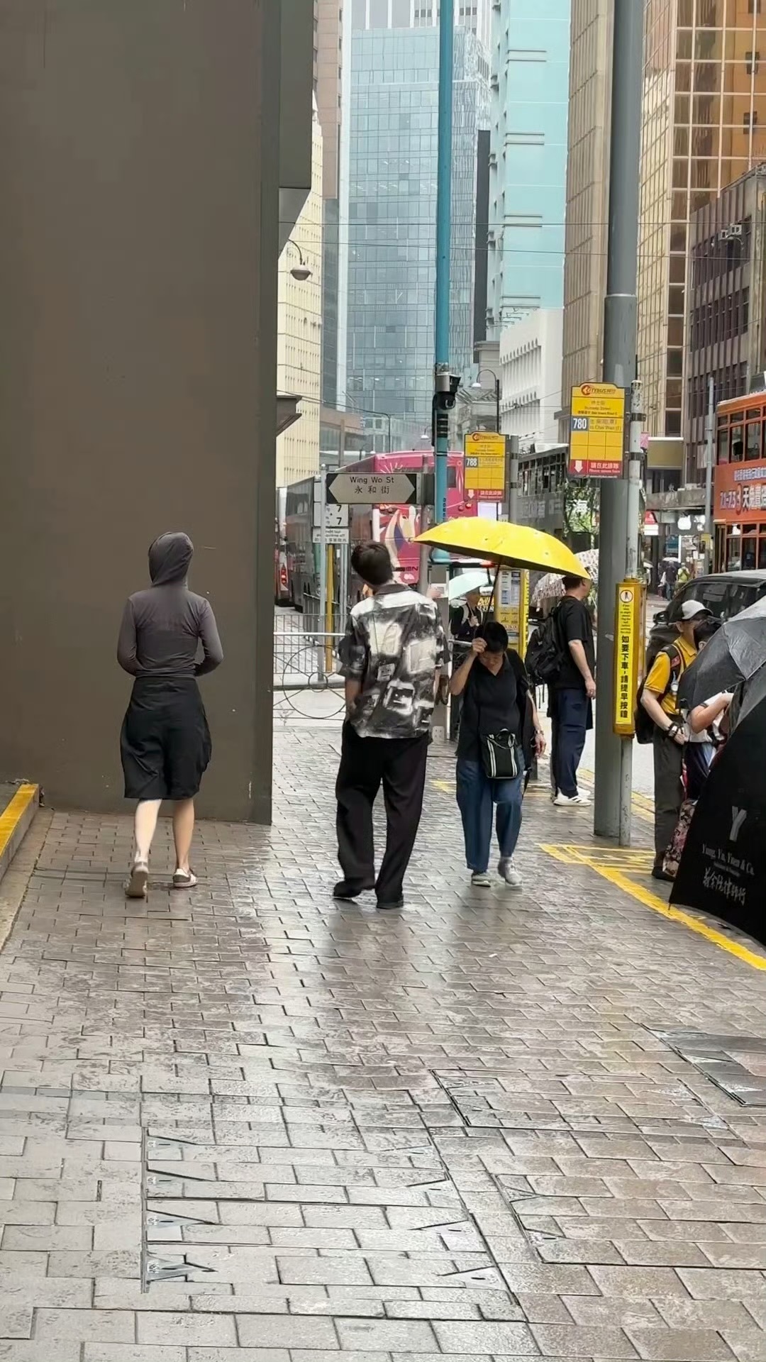 哥 晚安呀 想你啦仙草园