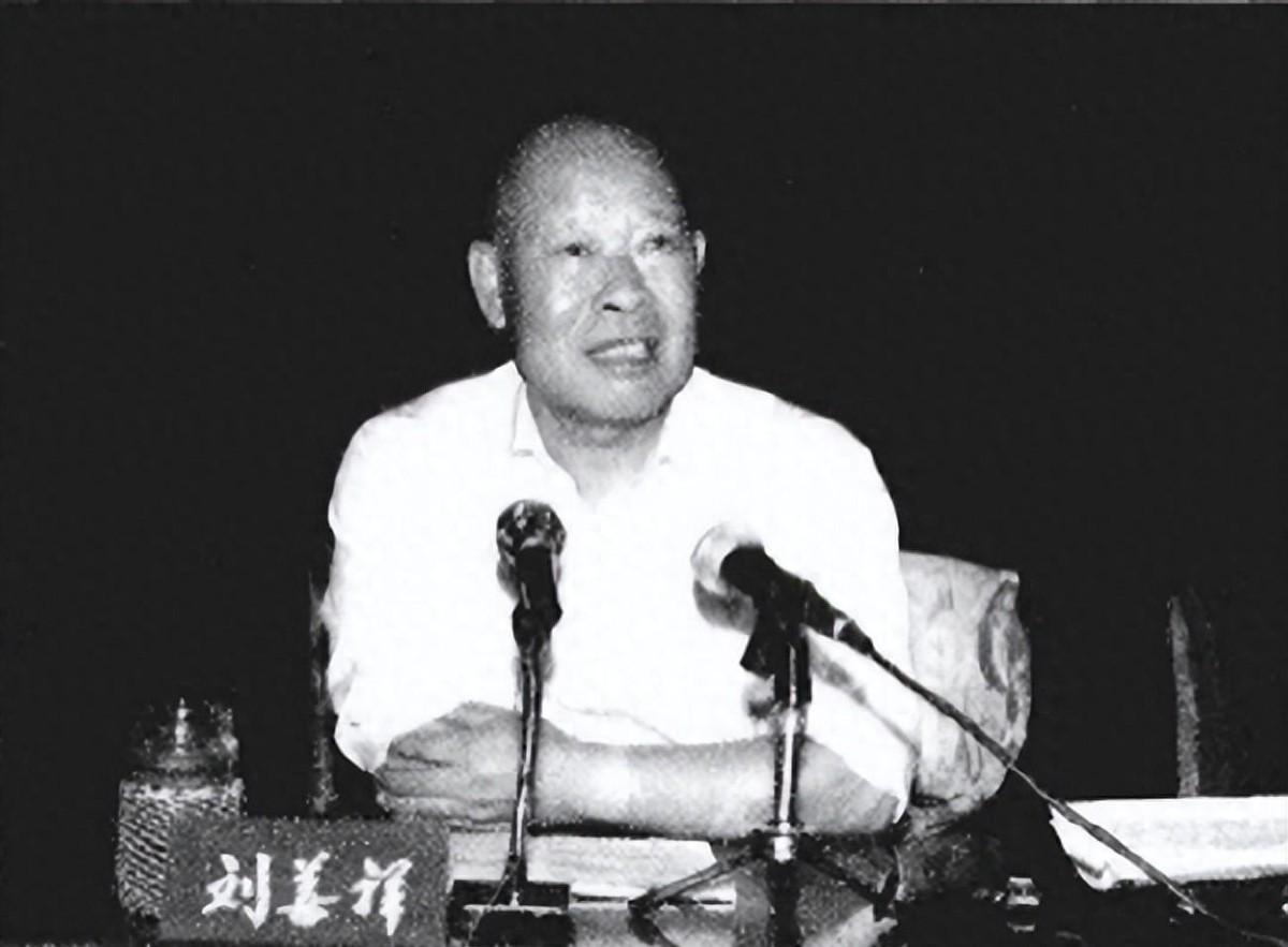 1993年刘善祥查办张铁梦案时遭程维高阻挠，这起案件后来究竟经历了哪些曲折发展？