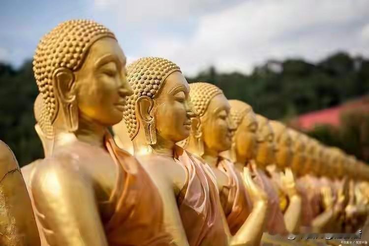 佛教打第一天起就不是什么普度众生的慈悲宗教，它诞生在印度那个把人分成三六九等的种