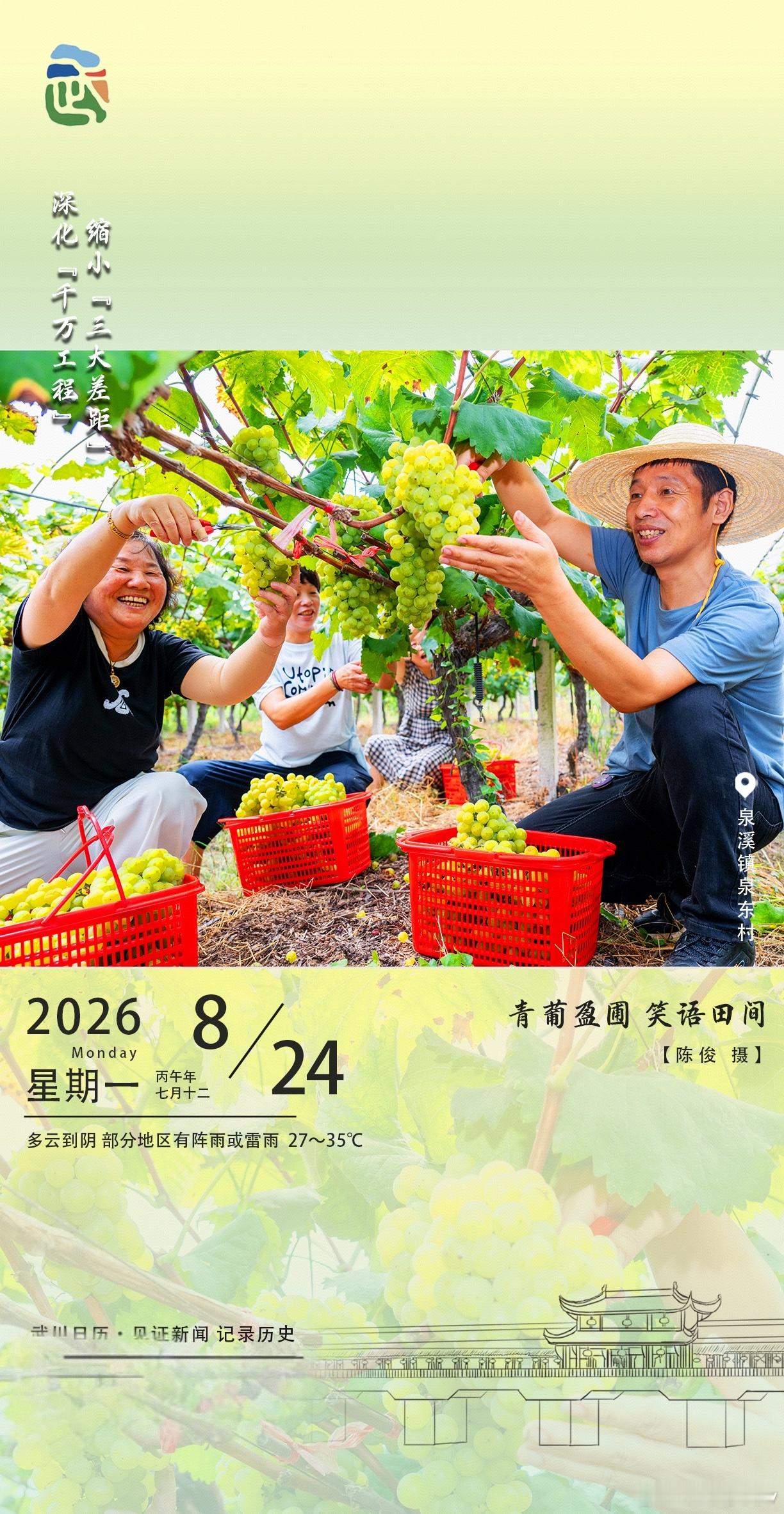 武川日历里的丰收喜悦泉溪镇泉东村的葡萄园里，青葡挂满藤架，像一串串翡翠坠在绿叶间