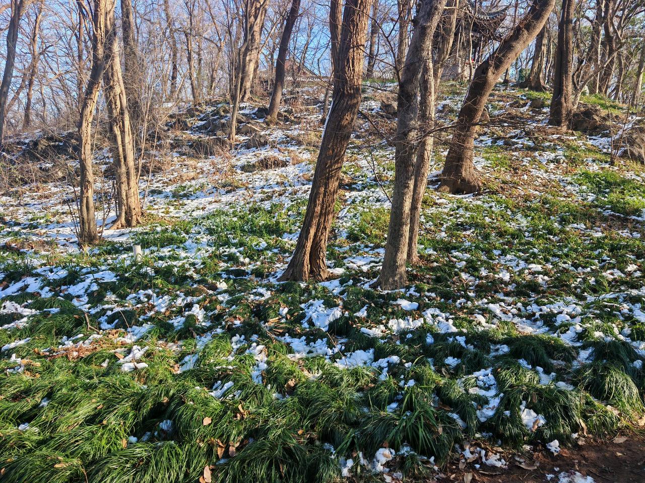 分享我这周有趣的事:有没有人和我一样，因为写头条把生物钟改了。

之前工作之外比