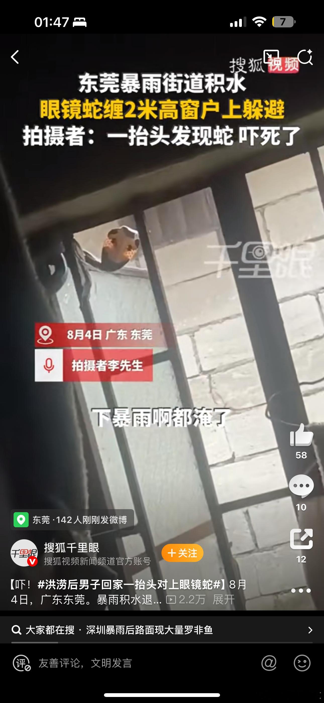 东莞暴雨眼镜蛇爬上2米高窗户逃生别害怕，有什么怕的？这种情况我一般先拍个照发个微