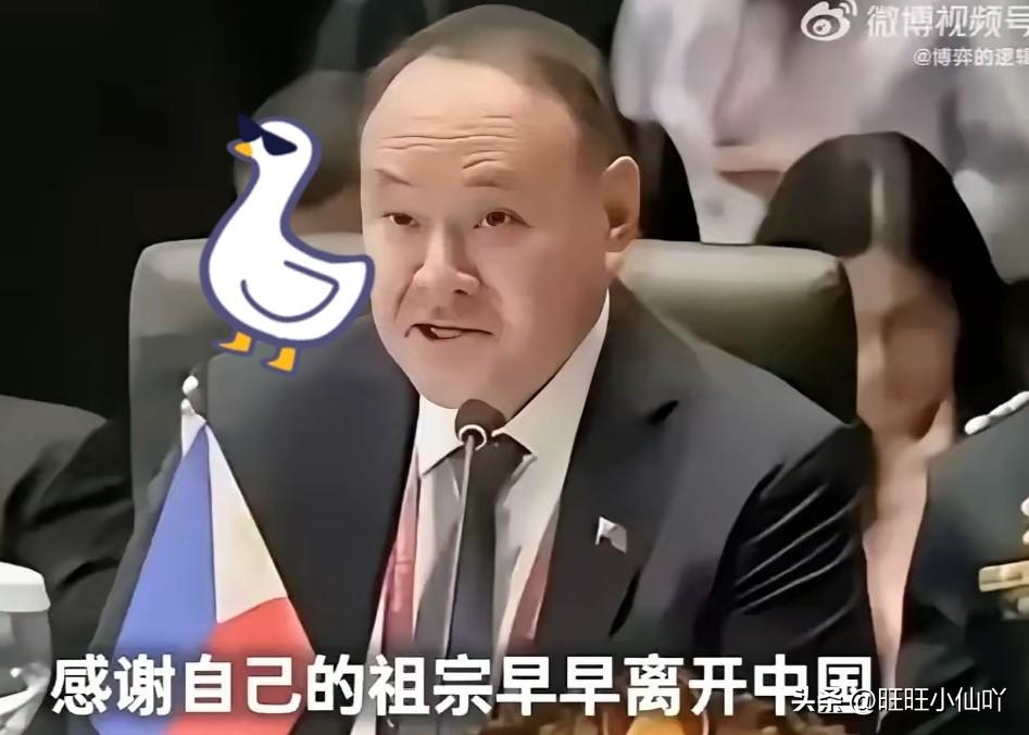 看到这则消息，心里只有两个字：痛快。

这位出身福建漳州的菲华裔防长，家里几代深