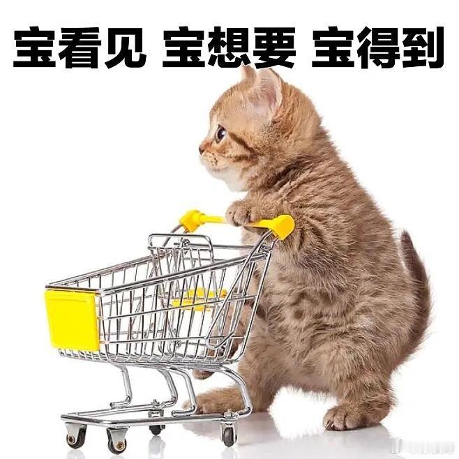 京东晚8点国补国补从来不是新闻里的宏大数字，而是悄悄落在寻常生活里的细碎温柔，是