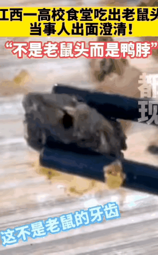 老胡真的是见多识广！想让老胡托江局长的关系，帮我买购买鼠头的鸭苗回家养，长这么长