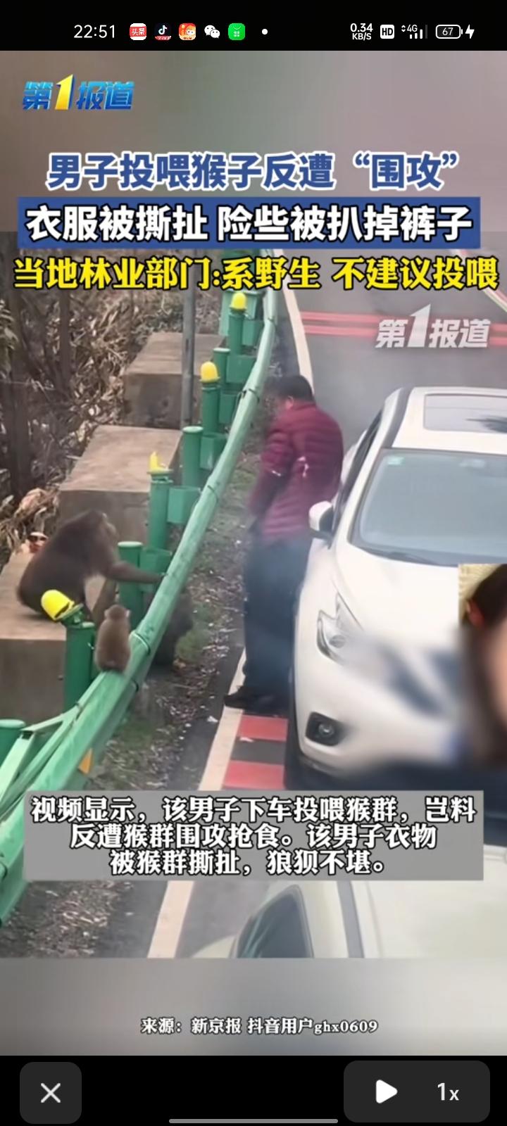 3月5日，宣城市泾县。网友发视频称，男子在高速路投喂猴子，遭猴群团团围攻，险些被